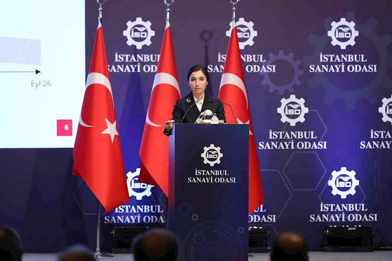 TCMB Başkanı Hafize Gaye Erkan: 